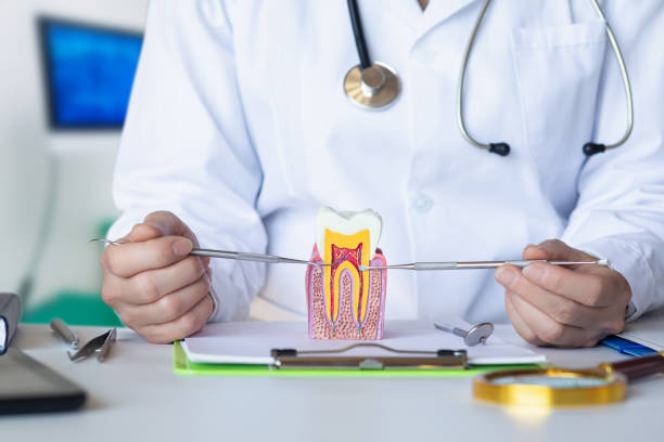 Best Emergency Dental Care for Sports Injuries in Speers, PA